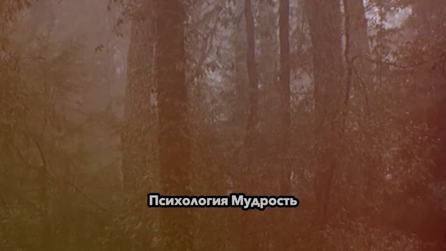 13 вещей которые мужчины любят в женщинах  Психология Мудрость