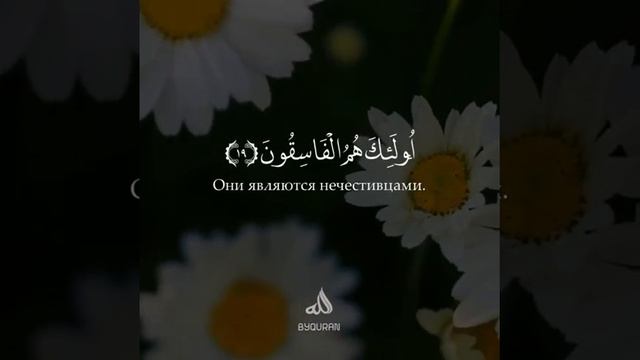 Byquran смотреть онлайн