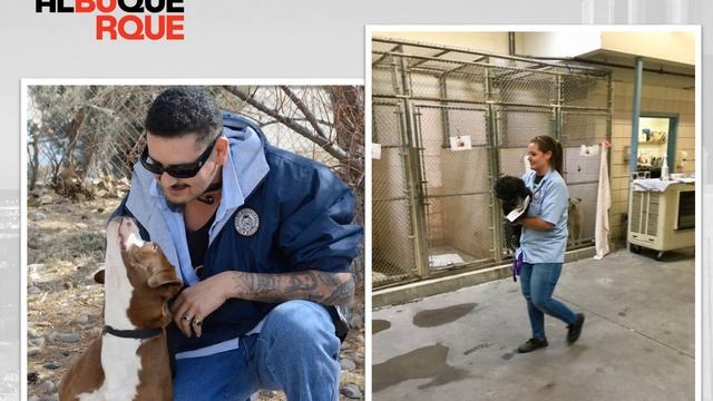 League Of Volunteers Orientation