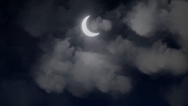 ночь-музыка без авторских прав