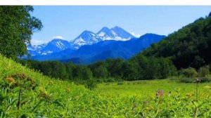 К.Кулиев - "Когда на меня навалилась беда"