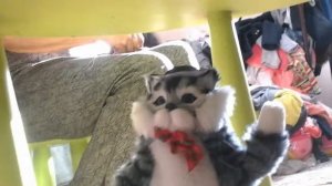 Песня кота Петровича