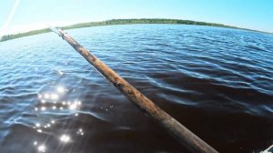 ОХОТА НА ТУРПАНА