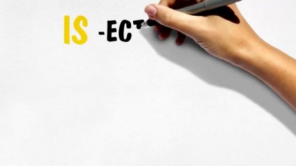 Глагол to be/ HE SHE IT IS