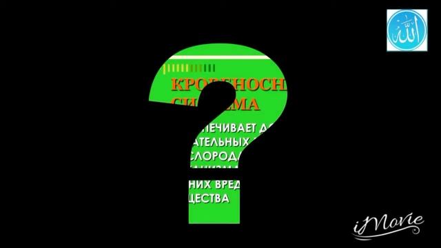 8 нехватка витаминов 20 мар 2018 г 16 14 18 смотреть онлайн
