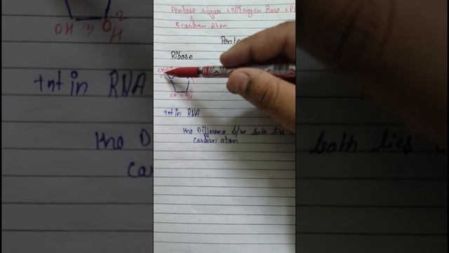 Nucleotide and structure of pentose sugar|Biomolecules|class 11|shubham Gupta| #neet смотреть онлайн