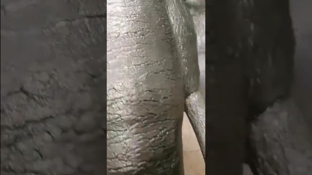 Керамо-Арт. Красный слон смотреть онлайн