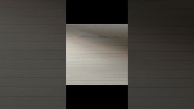 четыре лапы