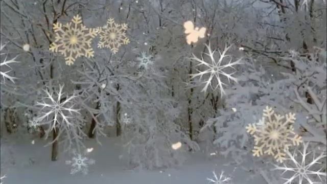 Fall in love with the Snow Angel（Angel of Snow） Plazma смотреть онлайн
