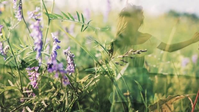 22.04.2016... Весна во дворе и хочется жить... смотреть онлайн