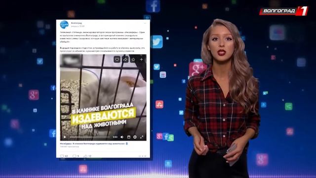 ФОСNEWS // Двадцать восьмой выпуск смотреть онлайн