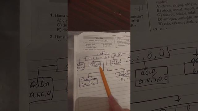 saitlər-Azərbaycan dili . Fonetika. DİM test toplusu. izah смотреть онлайн