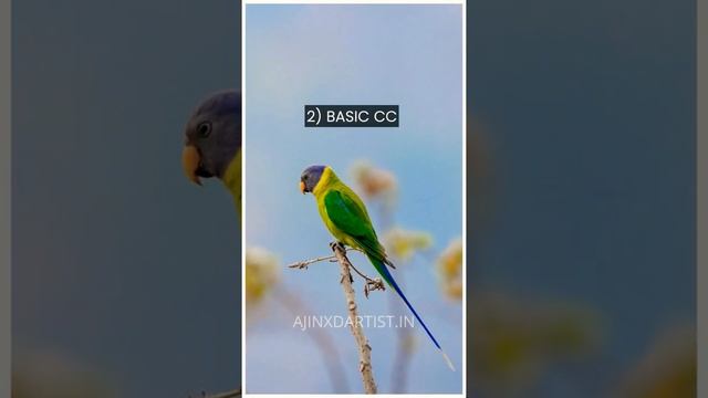Plum-headed Parakeets #photoedit #birding