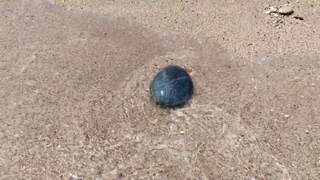 Дикая и дивная природа №16