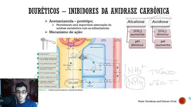 Aula De Fisiologia Renal - 2.2 Farmacologia Aplicada IECA/BRA/Diuréticos - UFAL