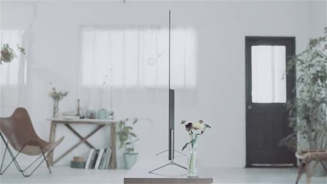 Телевизоры BRAVIA серии X9C смотреть онлайн