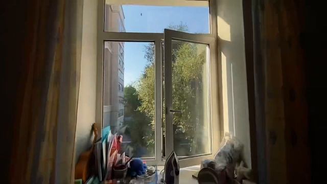 устроила себе день-ретрит без интернета, асмр-влог, я одинока?? смотреть онлайн