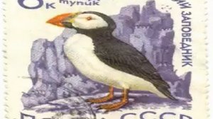 2013-12-27 20-23-26 scast философские размышления