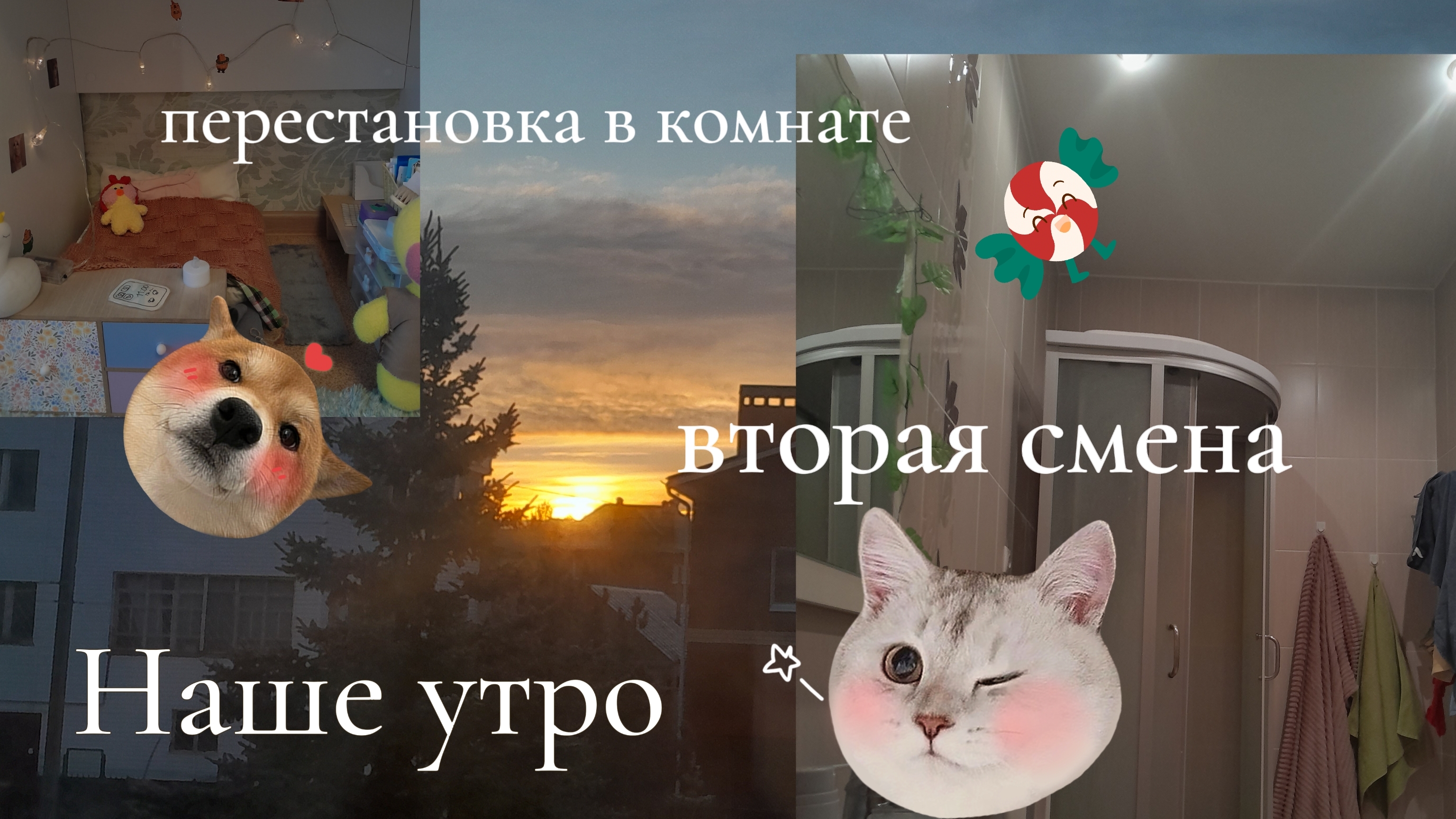 Наше утро 🌄 смотреть онлайн