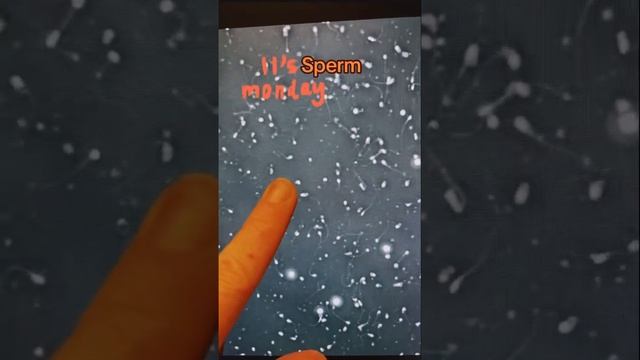 Happy Sperm Monday! #health #menshealth #monday #infertility #ivf #ttc #science