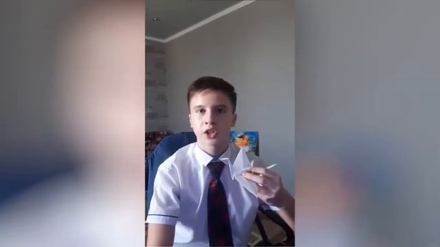 Акция "Белые журавли". 8Б класс смотреть онлайн