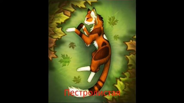 Коты - Воители : Грозовое племя смотреть онлайн