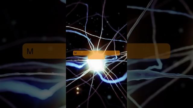 Peripheral Neuropathy: How To Manage Symptoms