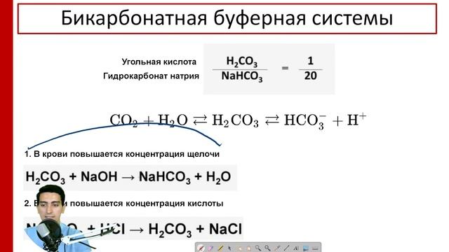 Биохимический состав плазмы крови