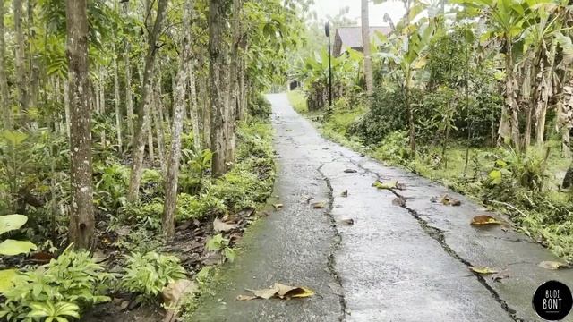[4K] Heavy Rain Walks In Indonesia's Highest Village | Beautiful And Neat Village