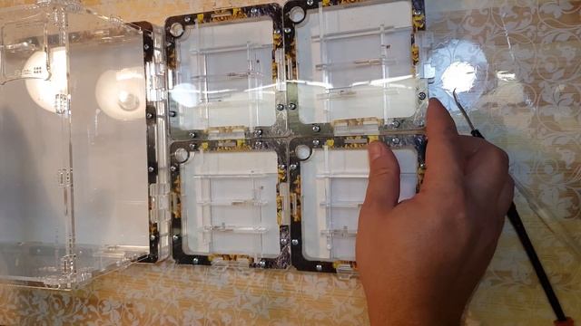 Обзор формикария! Messor Cephalotes.