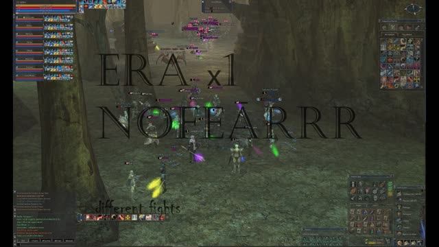 NoFearrr_different Fights