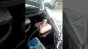 Газель УМЗ 4216 проверка прокладки ГБЦ на пробой