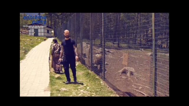 интересные факты о такине