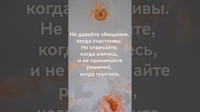 #мысли #философия #мудростижизни #жизнь #любовь #счастье смотреть онлайн