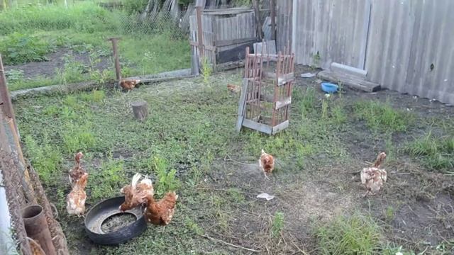 Учебные странствия