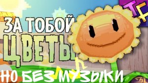 за тобой цветы но без музыки