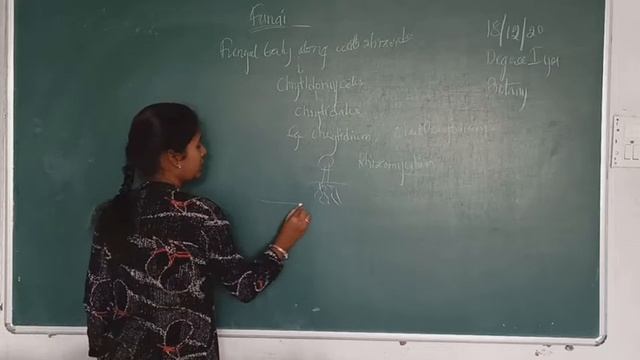 degree 1 bot (18/12) смотреть онлайн