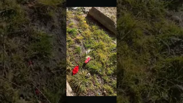 бью бутылки разбил плазму(5) смотреть онлайн