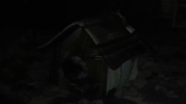 Что будет, когда зайчонок вырастет? ПЕРЧИК НОЧЬЮ смотреть онлайн