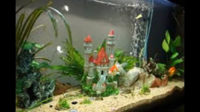 Аквариум с Рыбками АсР 9