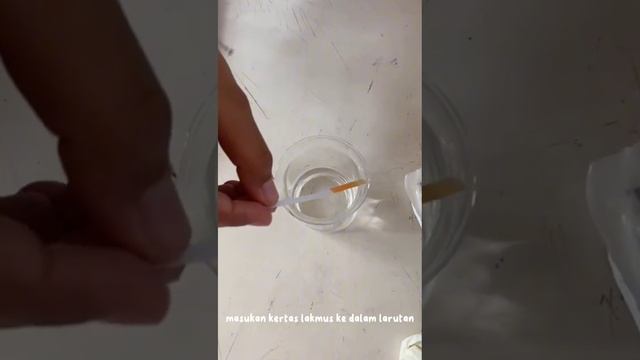Titrasi Asam Amino|KEL 2|Agrotek N смотреть онлайн