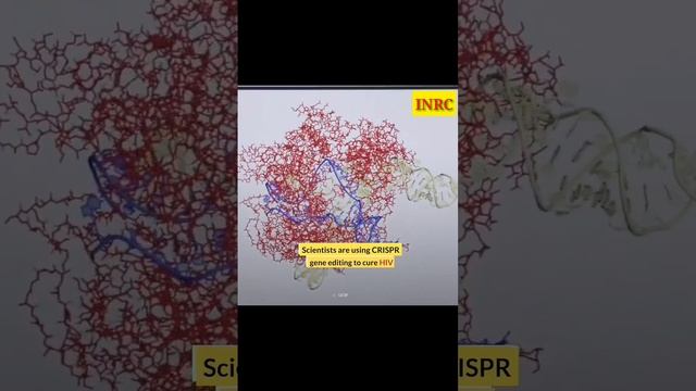 Scientists are using CRISPR gene editing to cure HIV. #HIV смотреть онлайн