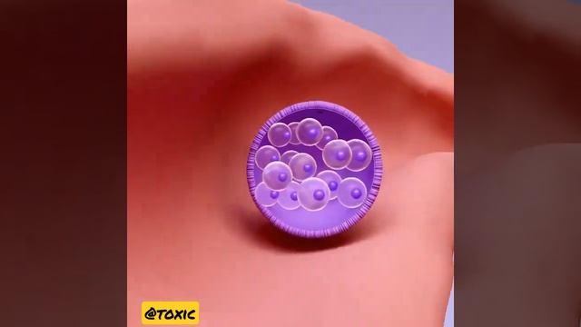 #conception#egg #embryo #fertility #fertilization#baby#fetus #sperma#pregnancy #uterus#artwork