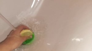 вечер собачек