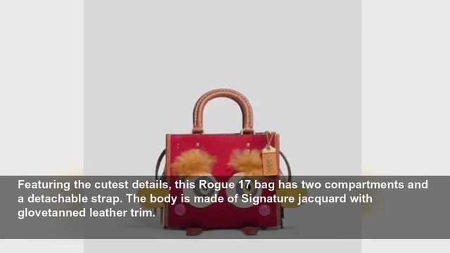 Check out the 4 must-haves from Coach's new Coachies collection! смотреть онлайн