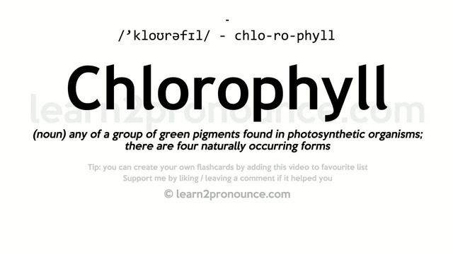 Pronunciation Of Chlorophyll | Definition Of Chlorophyll