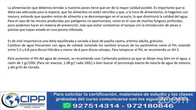 📚MÓDULO: MANEJO Y MEDICINA DE PECES Y REPTILES смотреть онлайн