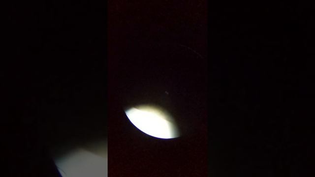 Microscopic View Of Motility Study By Hanging Drop Method 3