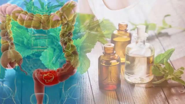 Herbs And Spices That Have Powerful Health Benefits