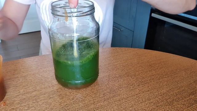 Онкопротектор из лопуха и чистотела